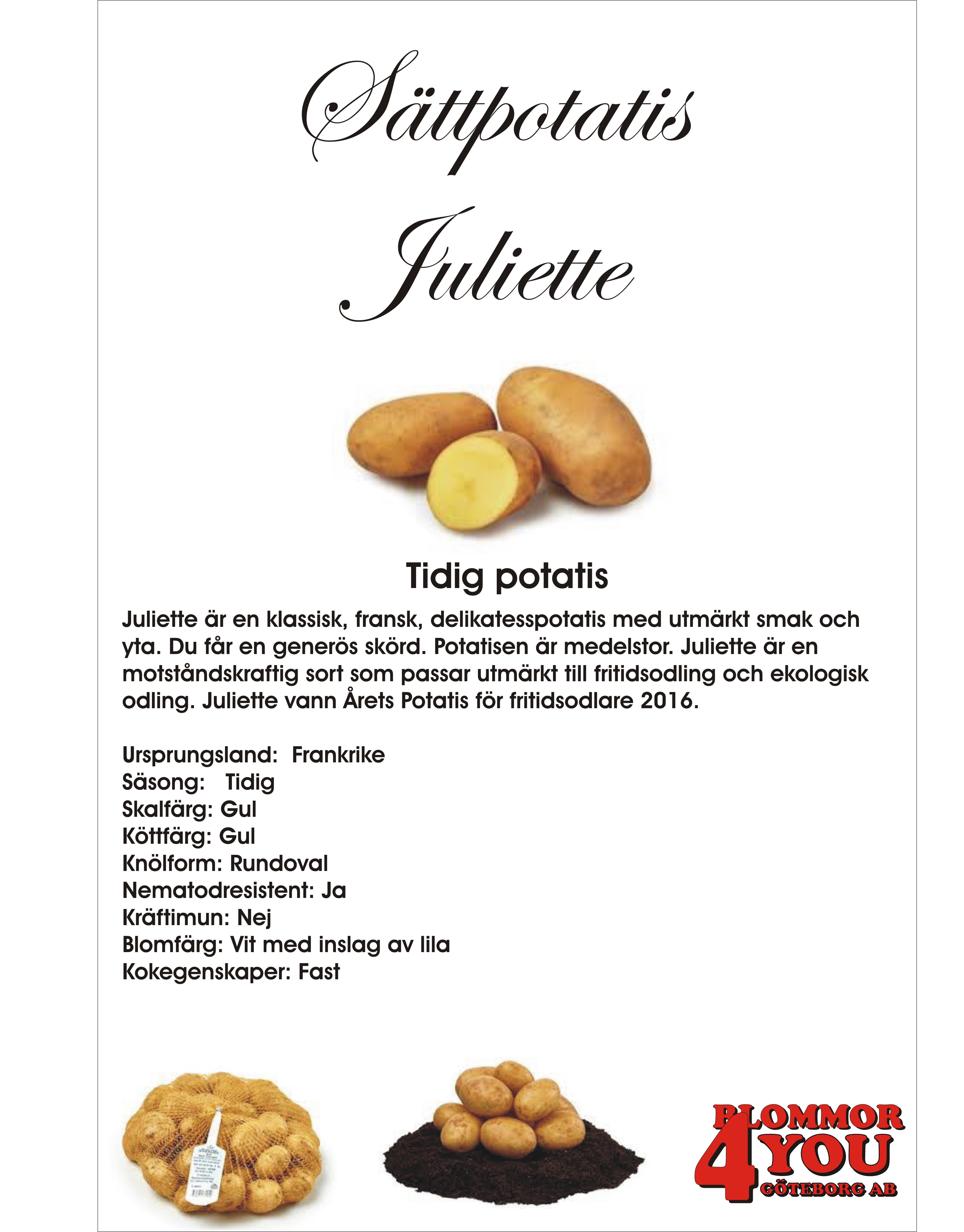 Sättpotatis Juliette  1 Kilo