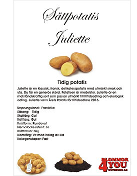 Sättpotatis Juliette  1 Kilo