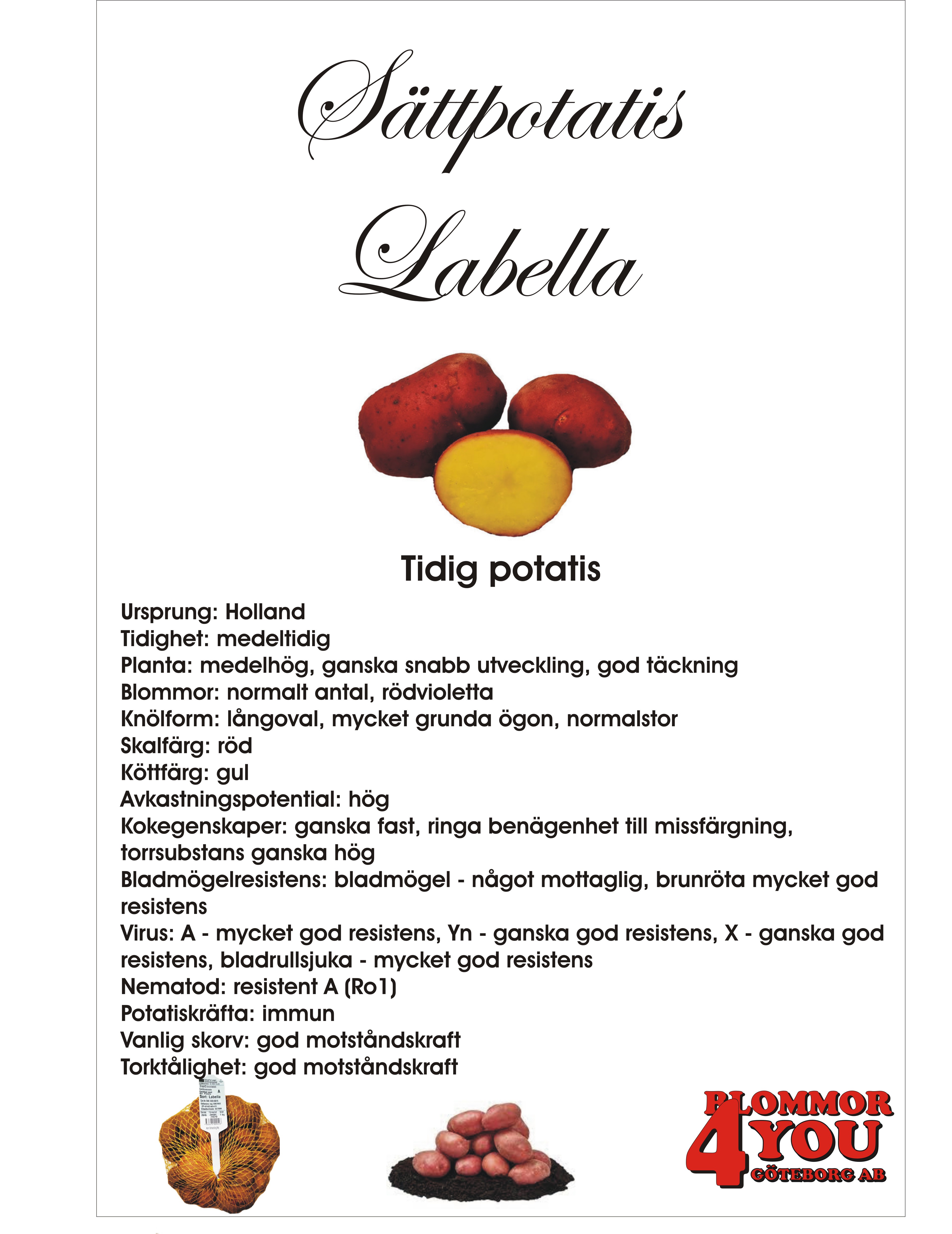 Sättpotatis Labella   3 Kilo