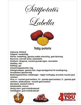 Sättpotatis Labella   3 Kilo