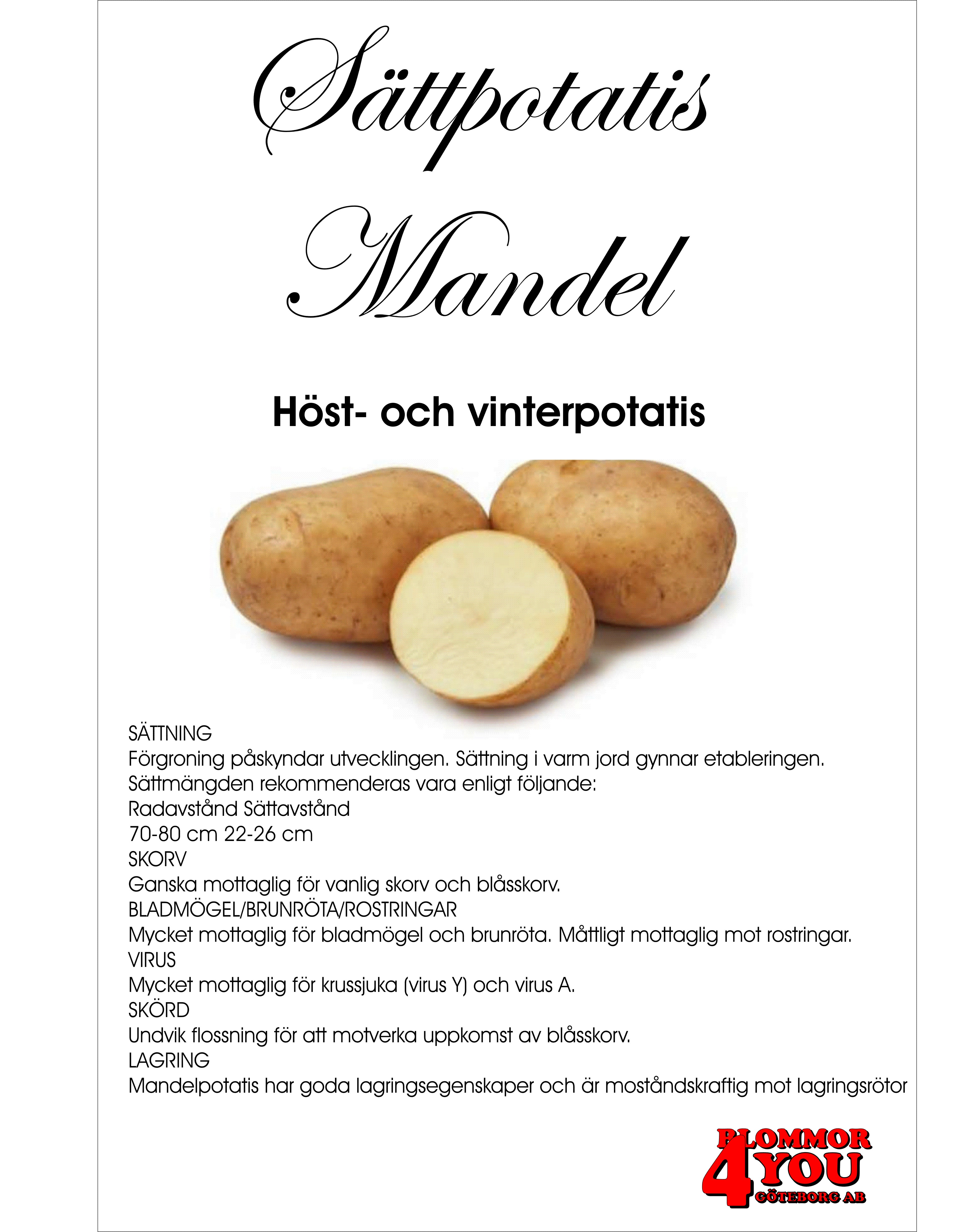 Sättpotatis Mandel  1 Kilo