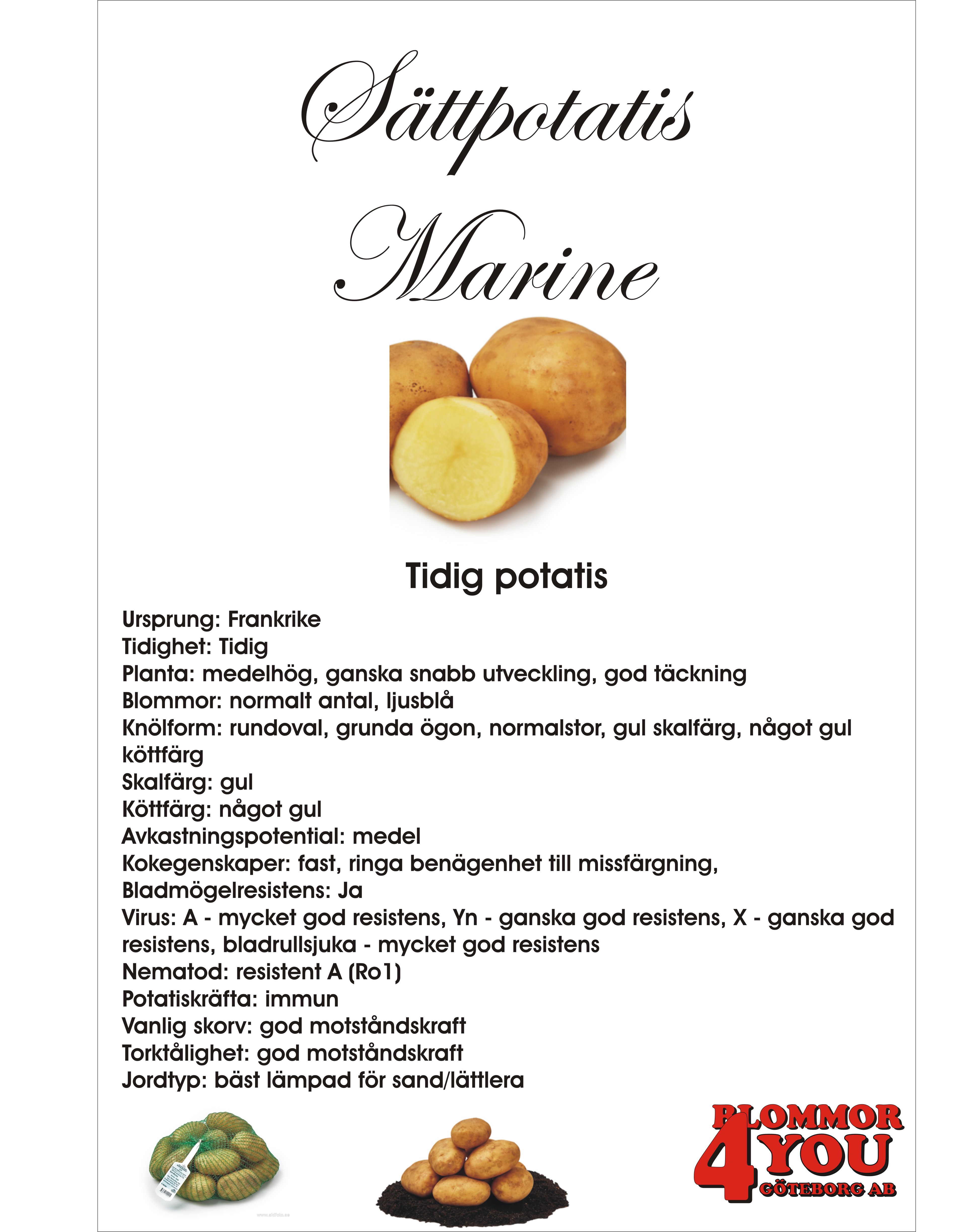 Sättpotatis Marine  3 Kilo