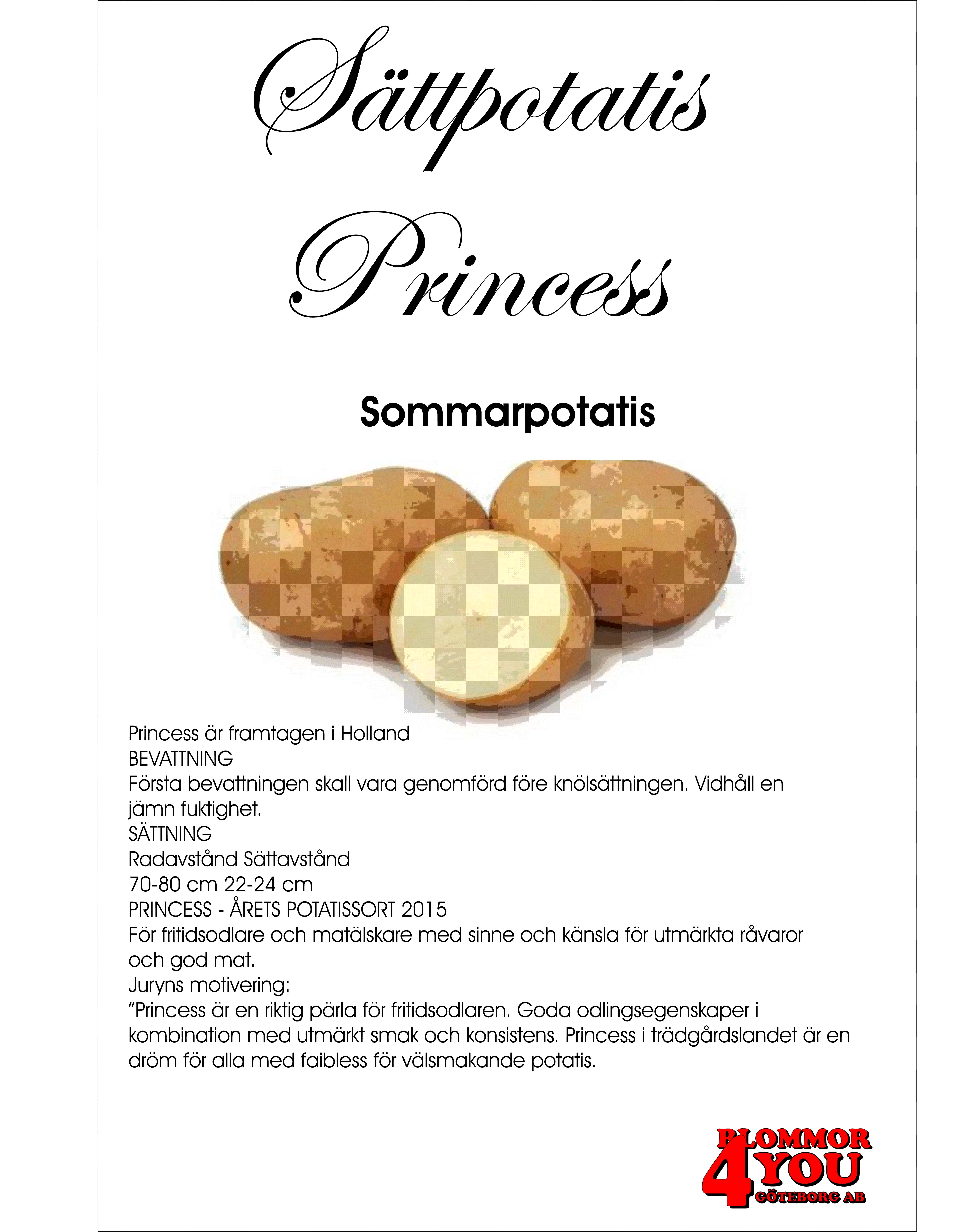 Sättpotatis Princess  3 Kilo