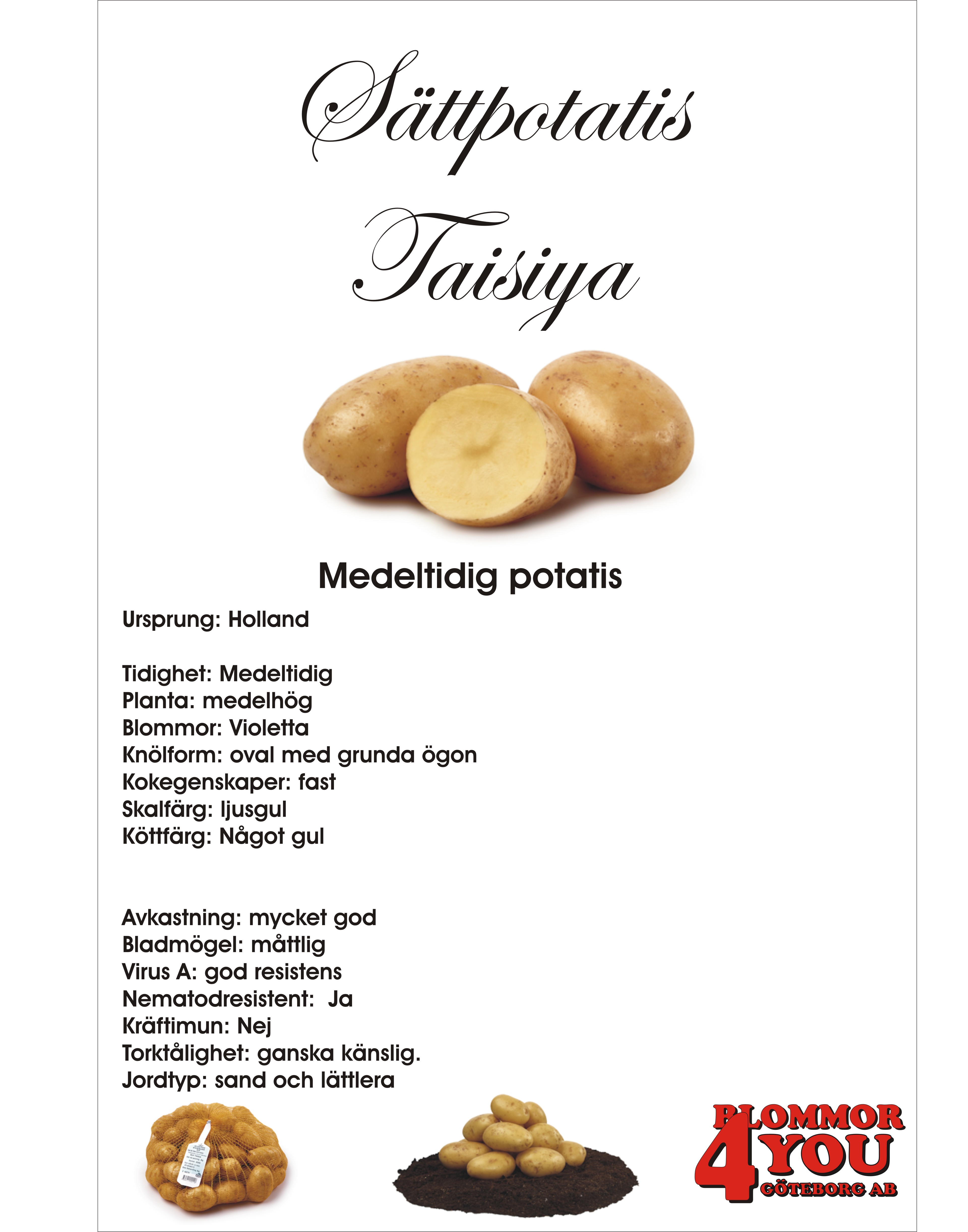 Sättpotatis Taisiya  1 Kilo