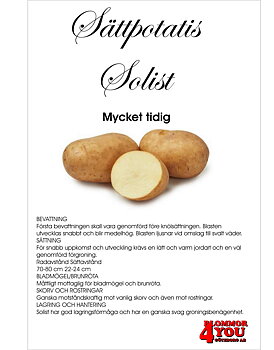 Sättpotatis Solist 2 Kilo