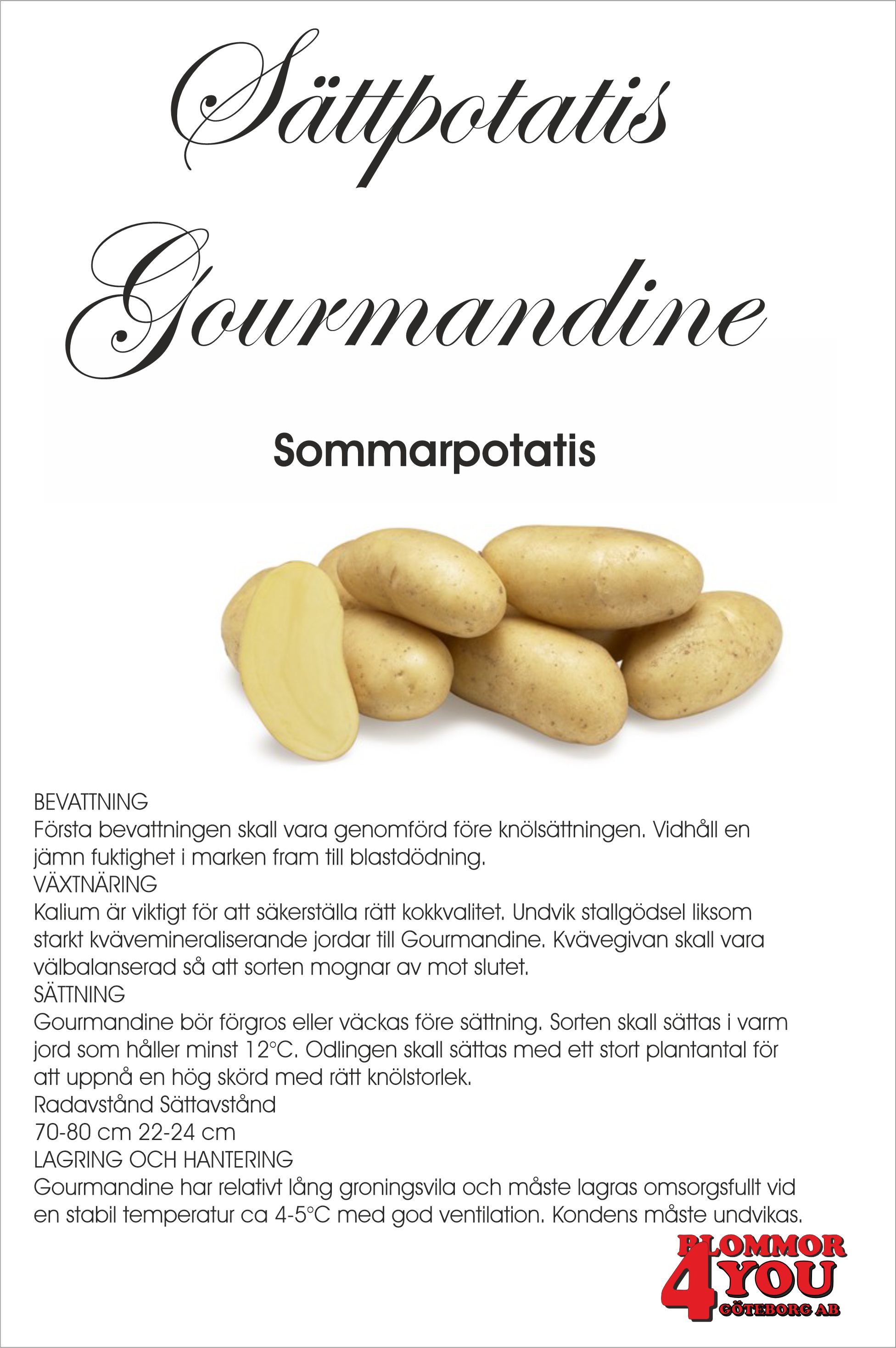 Sättpotatis Gourmandine 0,5 Kilo