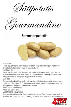 Sättpotatis Gourmandine 0,5 Kilo