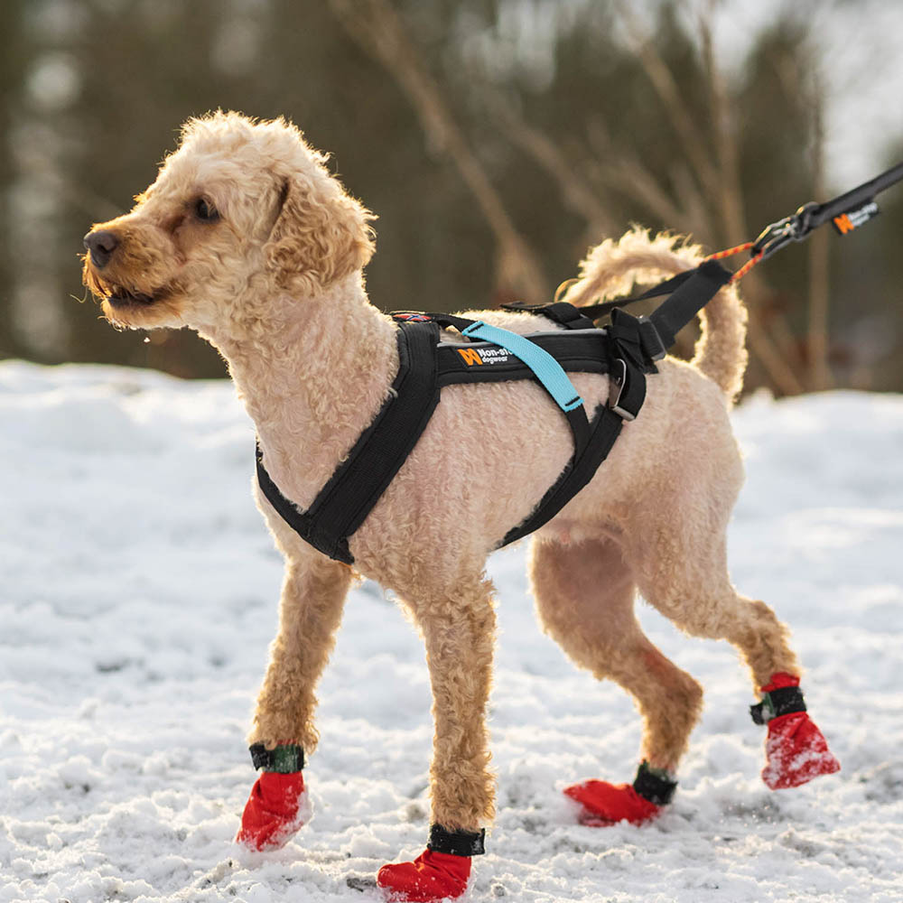 Hundsele till drag