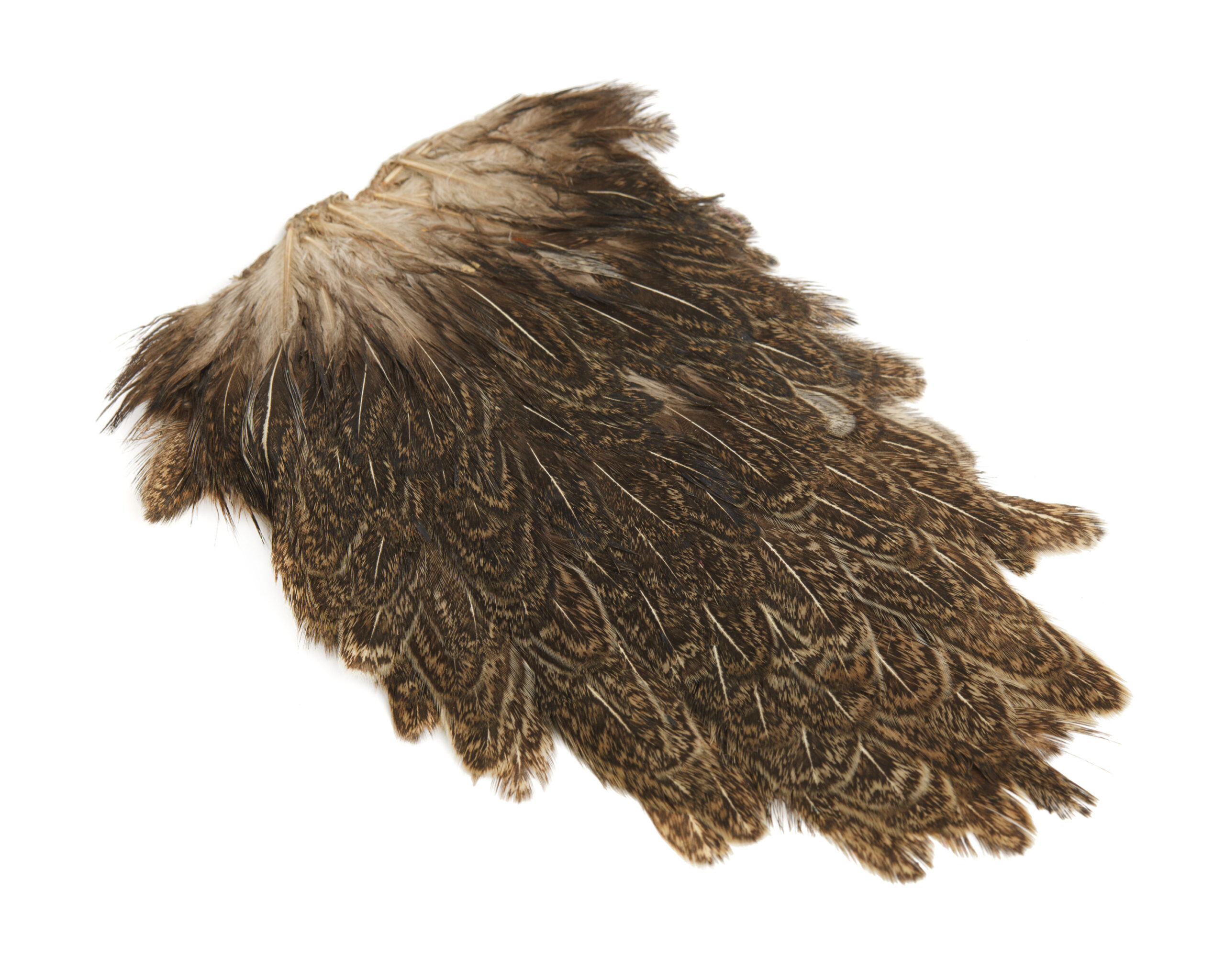 Indian Hen Saddle - 8
