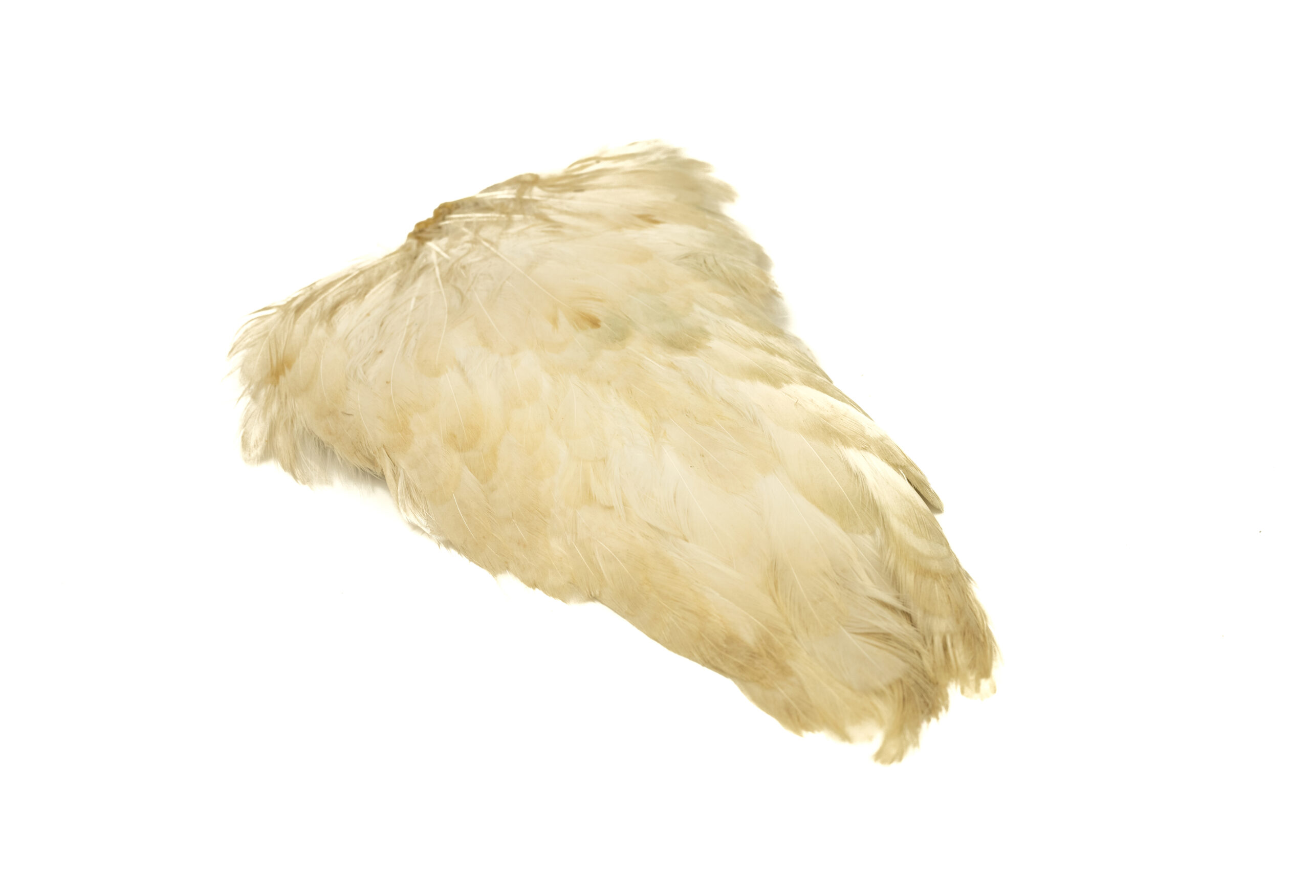 Indian Hen Saddle - 7