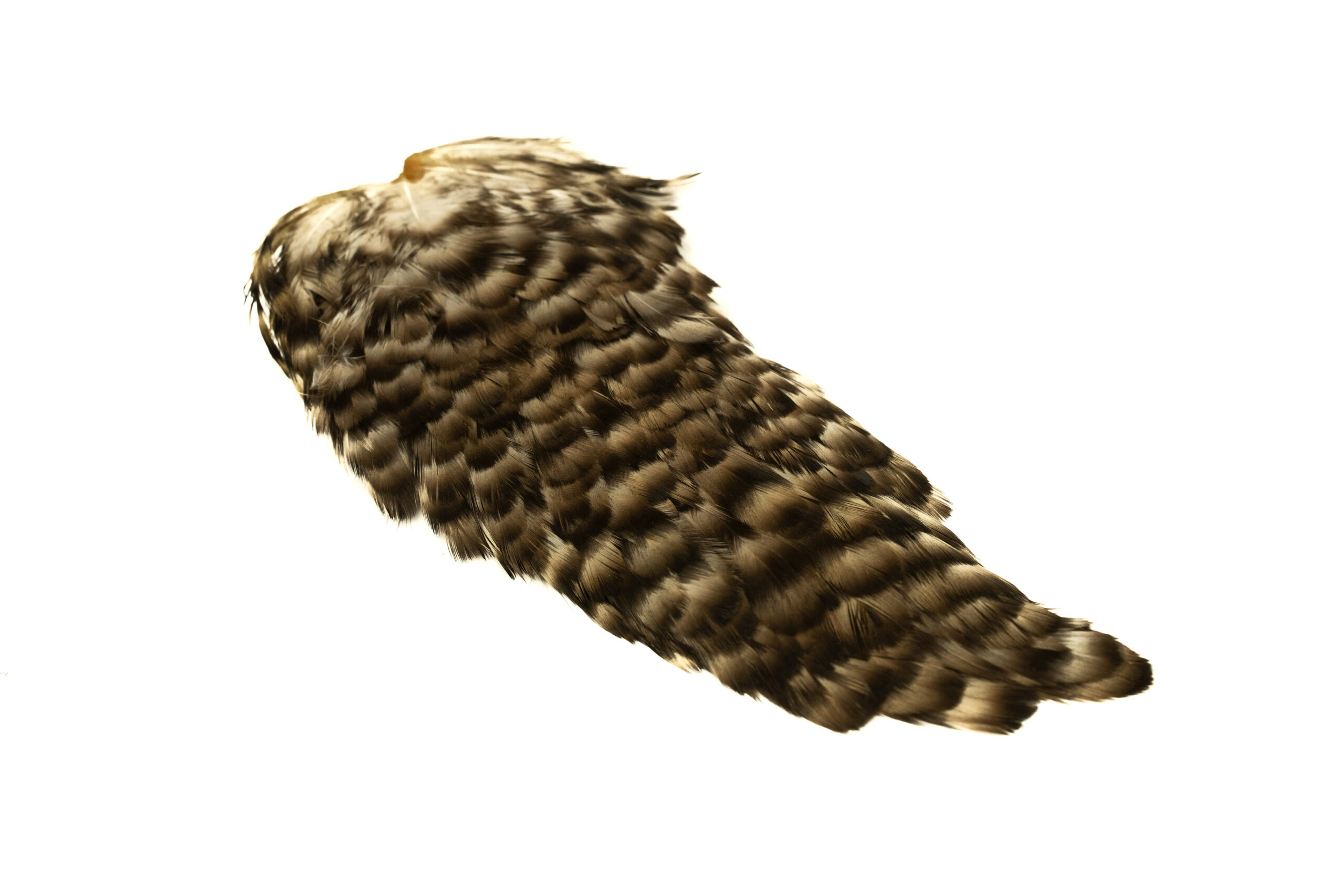 Indian Hen Saddle