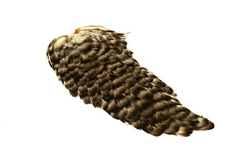 Indian Hen Saddle