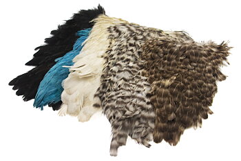 Indian Hen Saddle