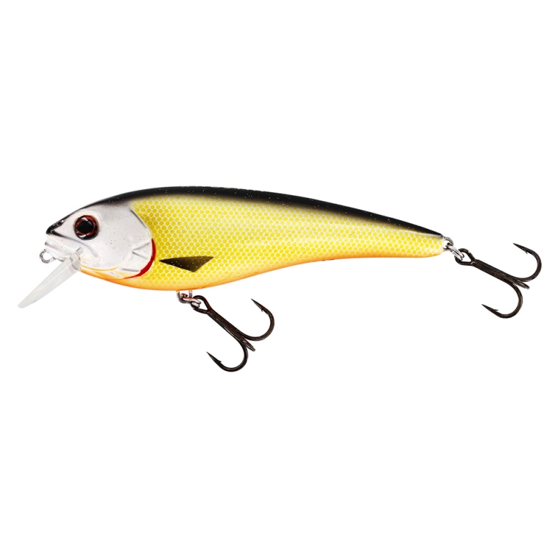 westin rawbite är en wobbler på 15cm som är otroligt lättkastad och fångar många stora gäddor. fiskas ned till 3m. official roach