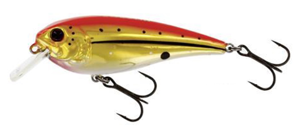 Westin rawbite 7cm 12g floating crankbait for perch trout and other predatory fish