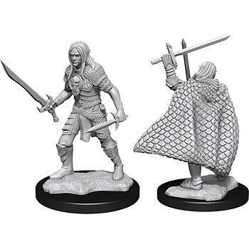 Pathfinder Battles Deep Cuts Unpainted Miniatures - Elf Fighter Male