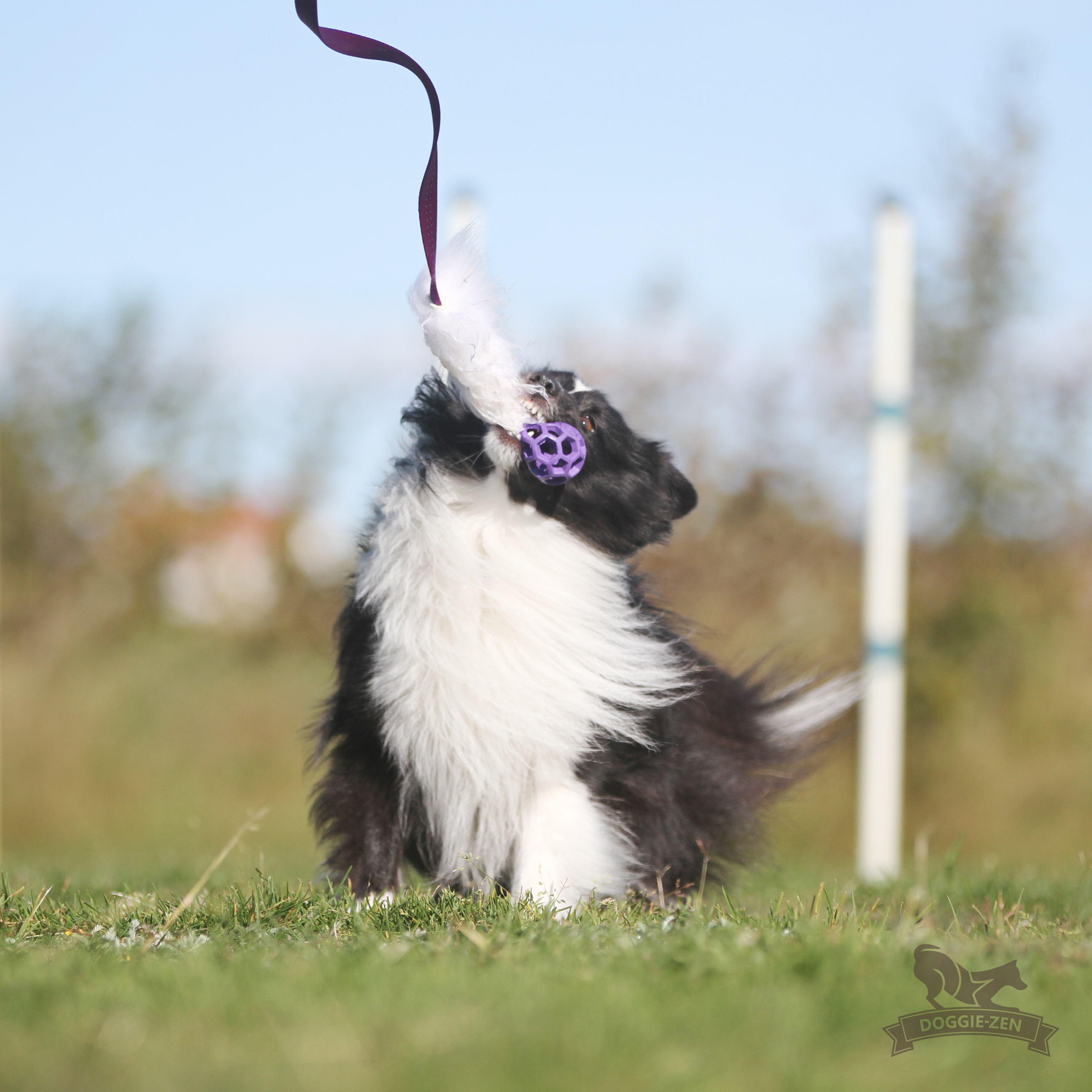 Elastisk fårskinnsjagarkampis S med Hol-ee Roller - 4