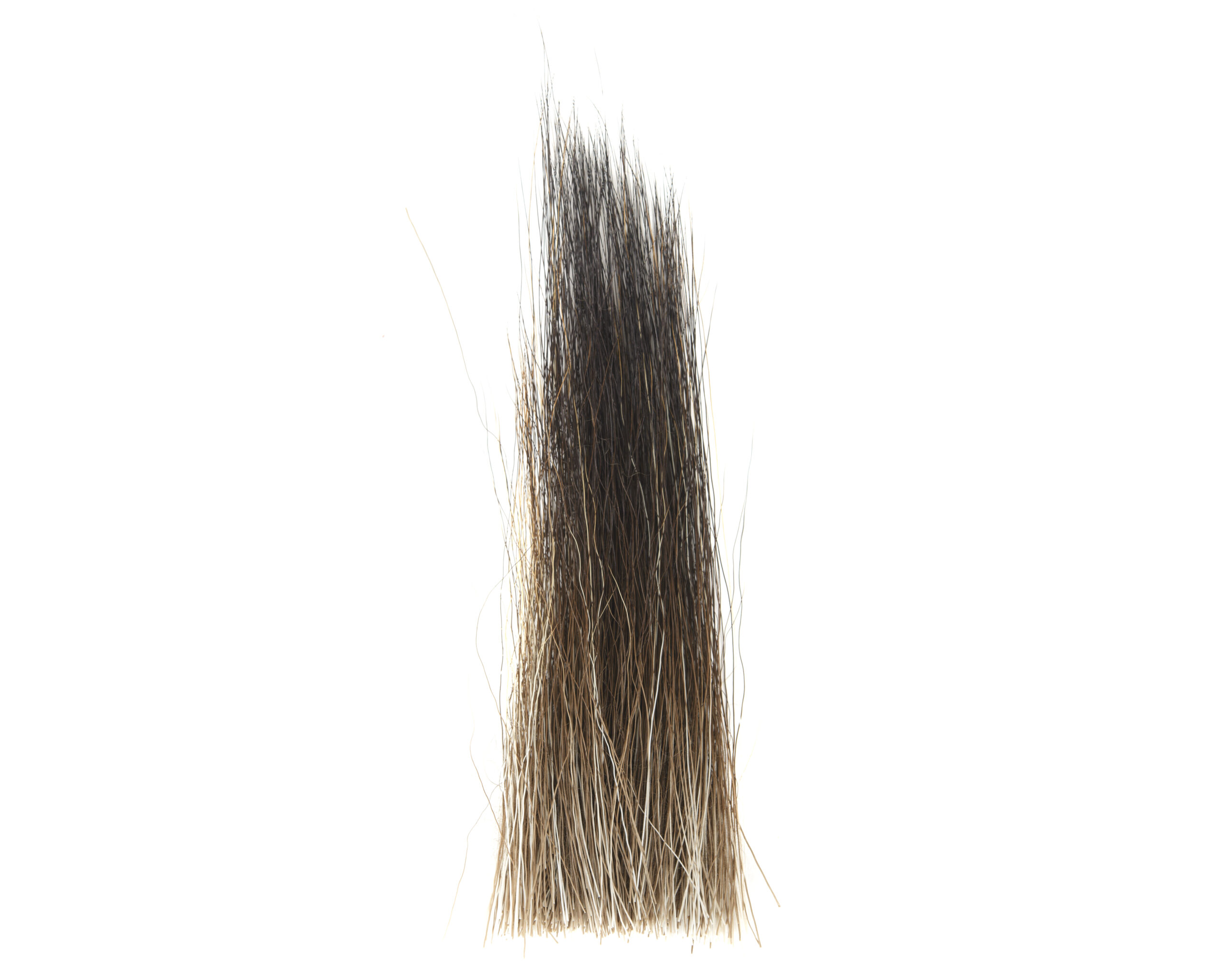 Moose Mane