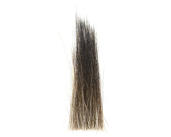 Moose Mane