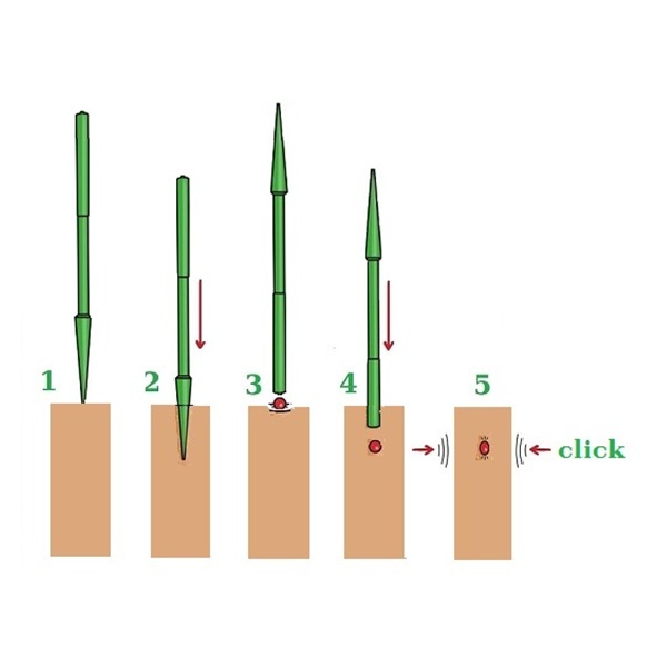 10 Pieces Click of Taste - 31