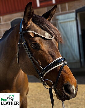 Browband 1 row crystals 8 mm CRYSTAL ECO LEATHER