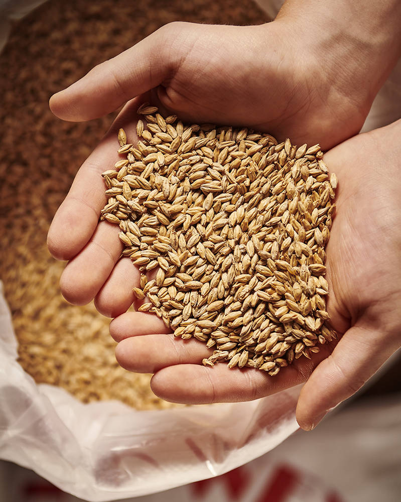 Eraclea Pilsner Malt (Weyermann®), whole, 1 kg - 2