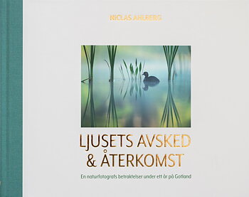 Niclas Ahlberg - Ljusets avsked och återkomst