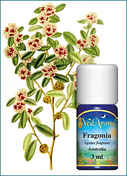 Fragonia Essential Oil (3 ml)