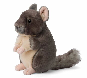 Fyldt chinchilla