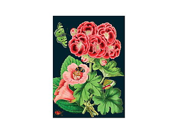 Madame Treacle : Geranium - Kort med kuvert