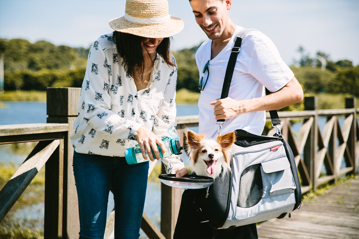 Explorer Airline Transparent Pet Carrier - Gray - 2