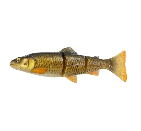 4D Line Thru Trout 30cm/290g - 5