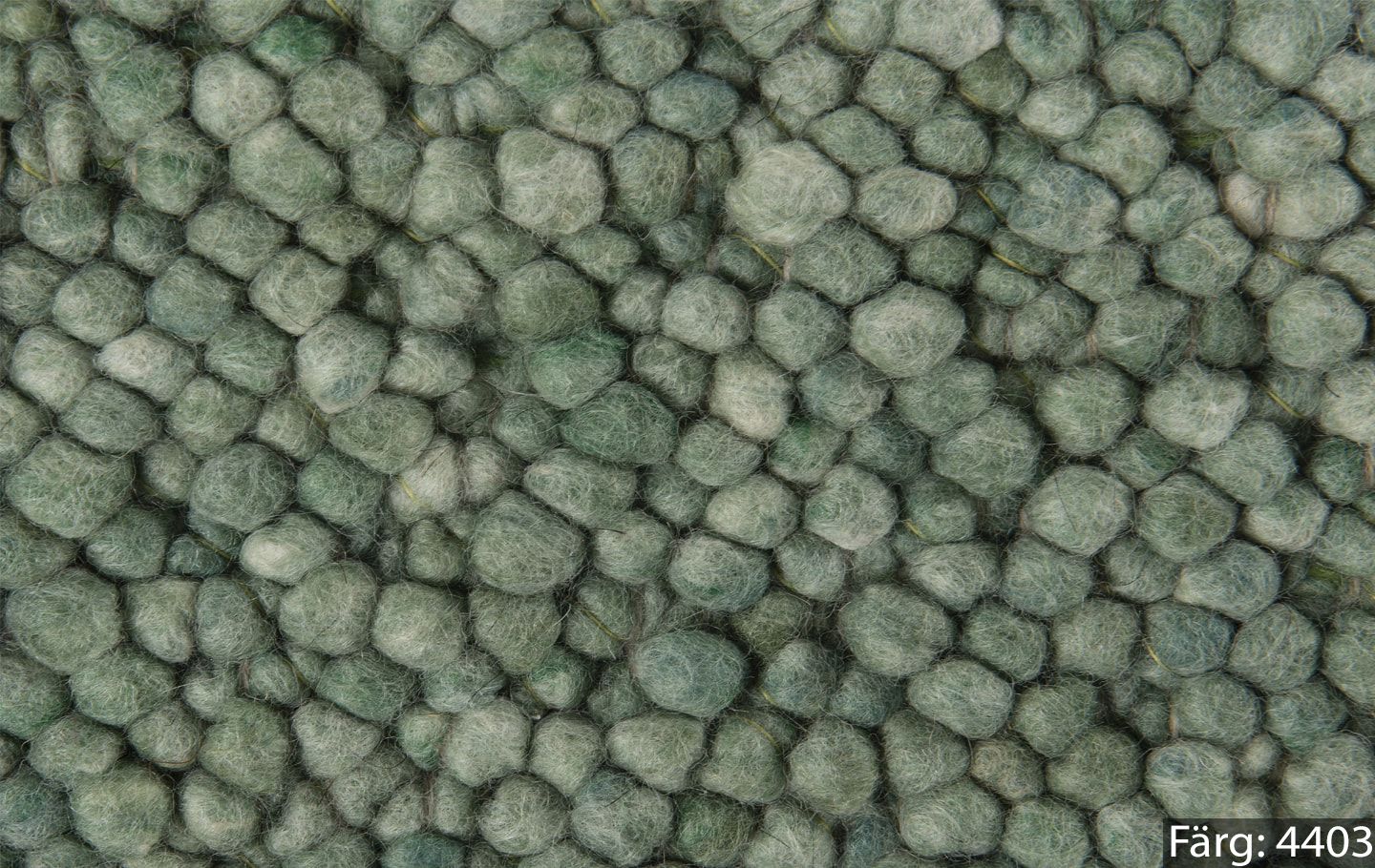 Tisca Olbia Karibu  - 8