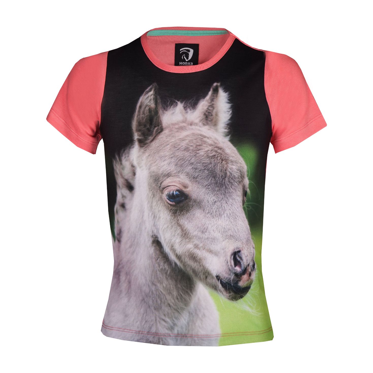 T-shirt  Ollie salmon