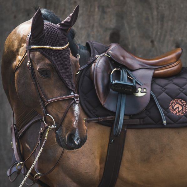 Jacson Pannband Cambridge Svart Full - 3