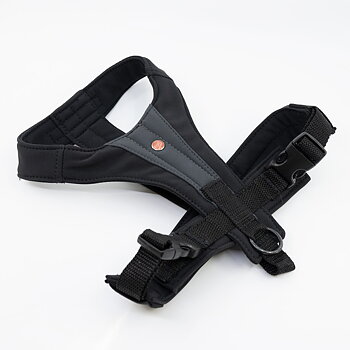 Out-n-out® Y-go | Y-harness (Black)