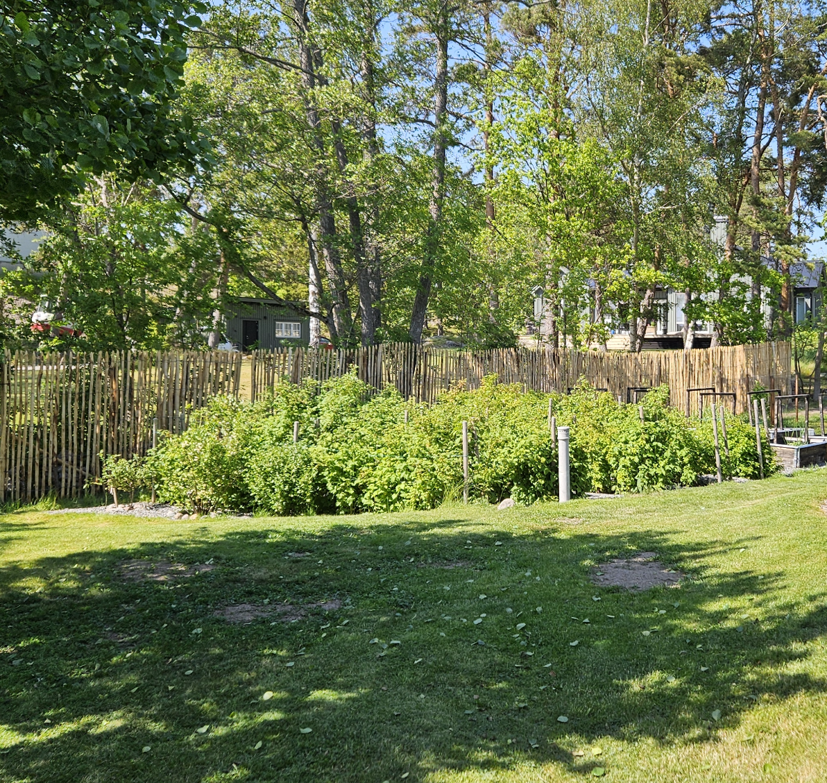 Kastanjestaket tätt, höjd 200 cm längd 5 meter, franskt