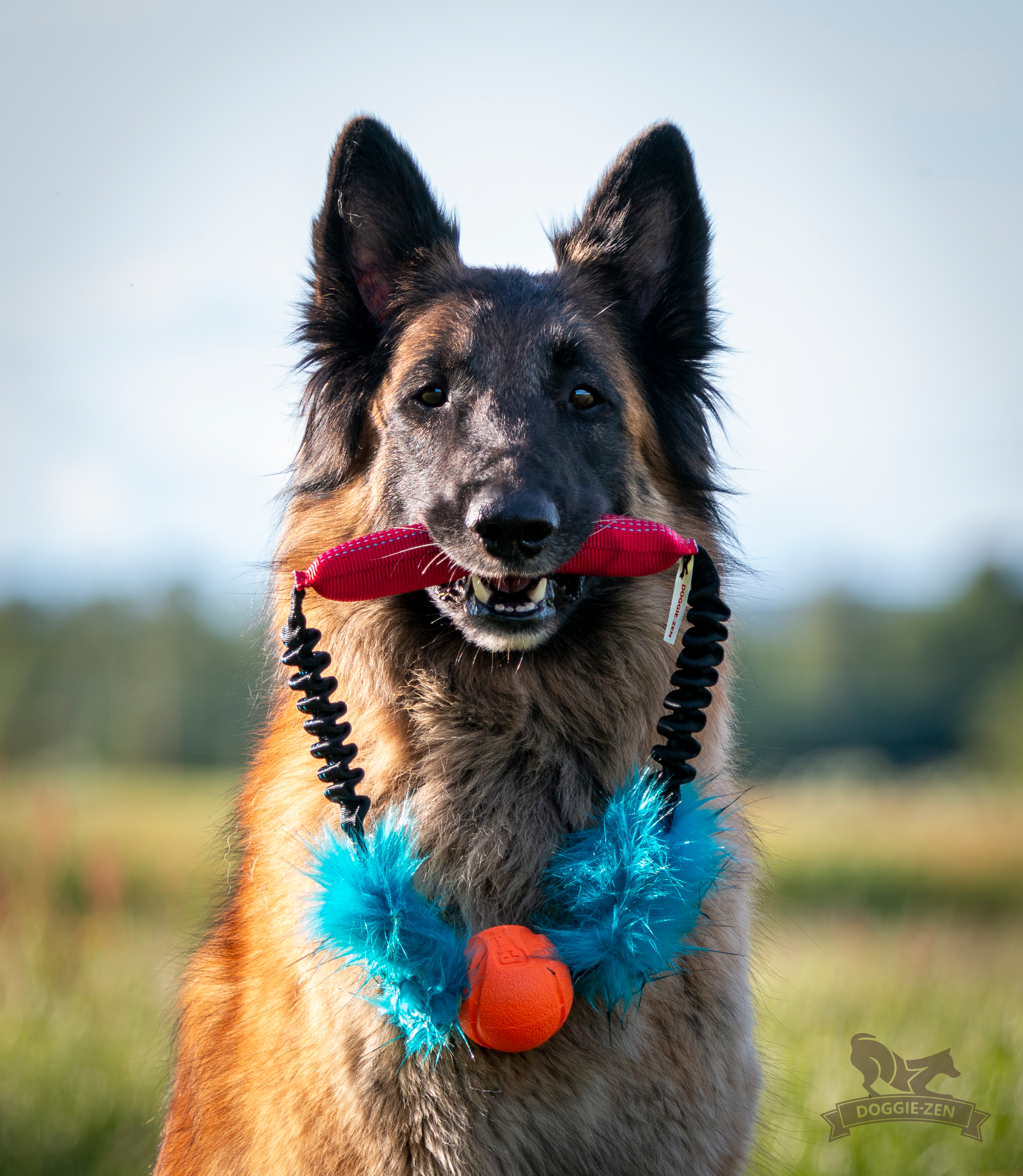 Bungee Fake Fur Tube Ring with Chuckit - 10