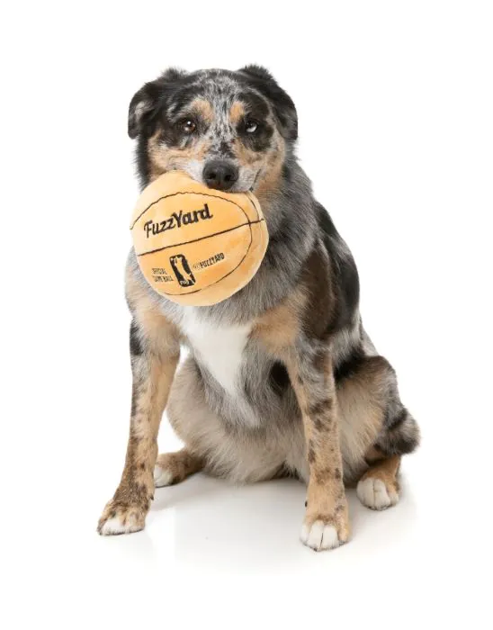 FuzzYard Hundleksak Sports Basketball  - 3