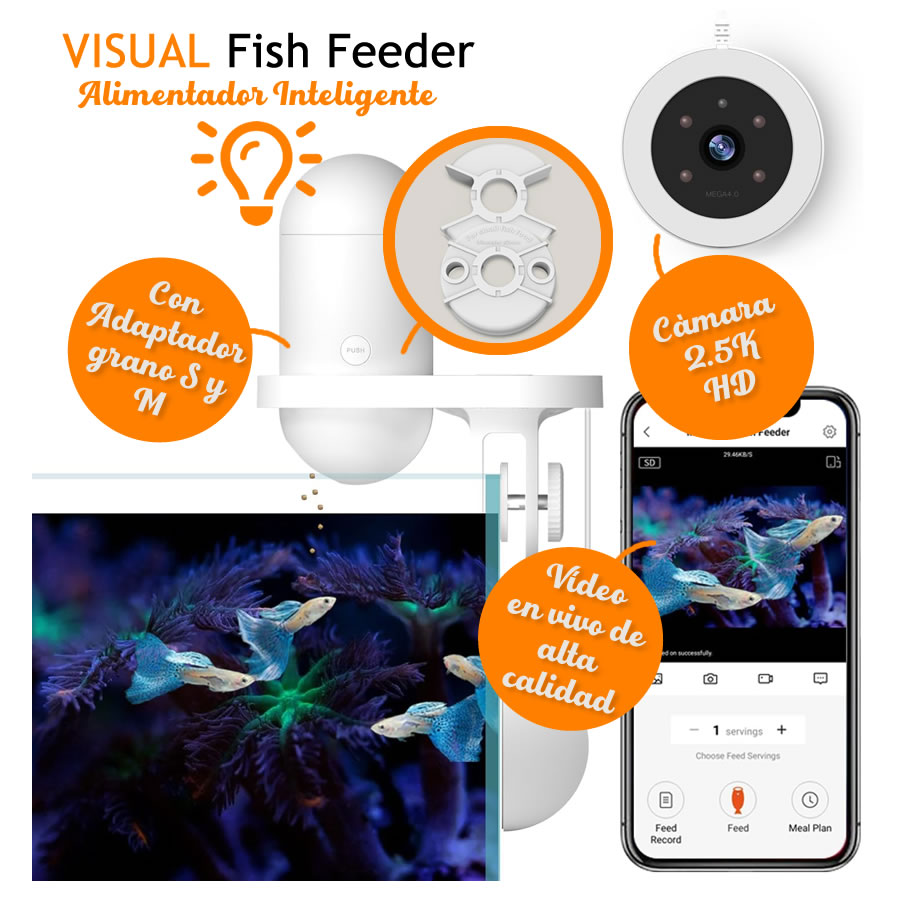 Aq, visual feeder