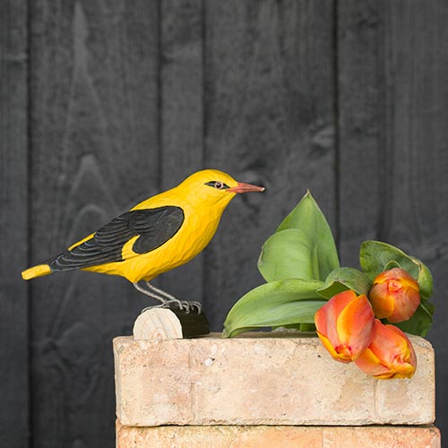 DecoBird Golden Oriole, hand carved wooden bird painted with environmentally friendly colours, sitting on bricks next to tulips