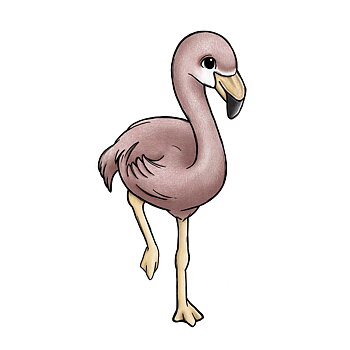 Flo the flamingo
