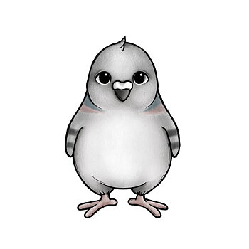 Poe the pigeon