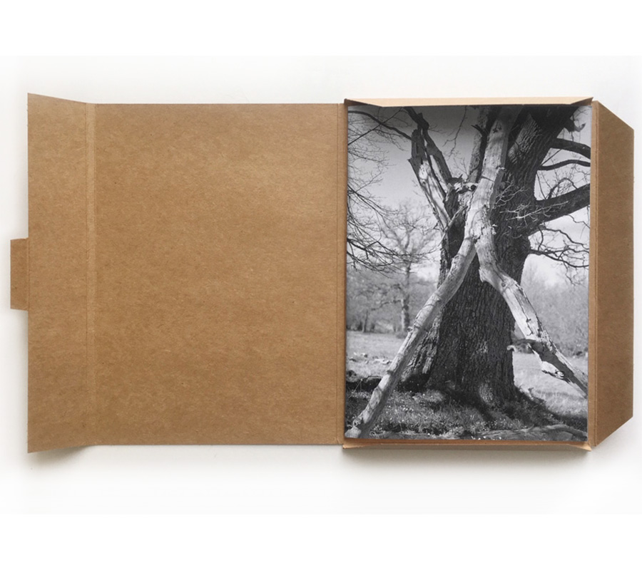 Gerry Johansson: Esker [signed] - 2
