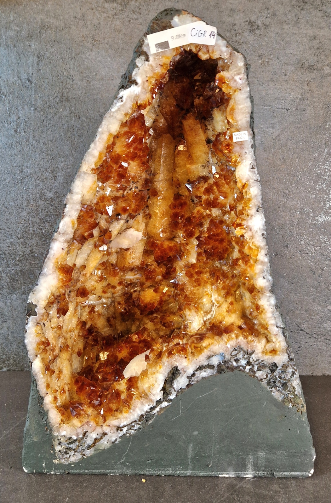 Citringrotta - 9,8kg