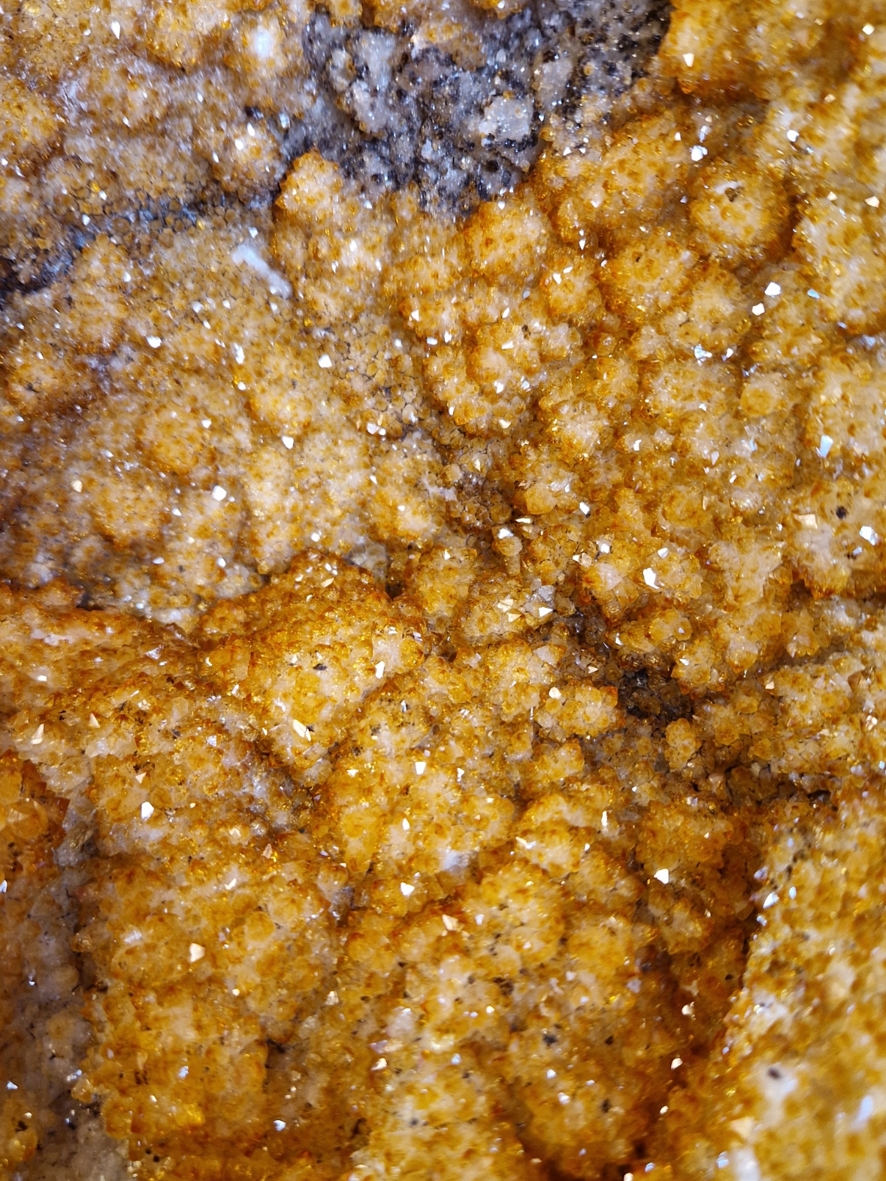 Citringrotta - 20,4kg - 2
