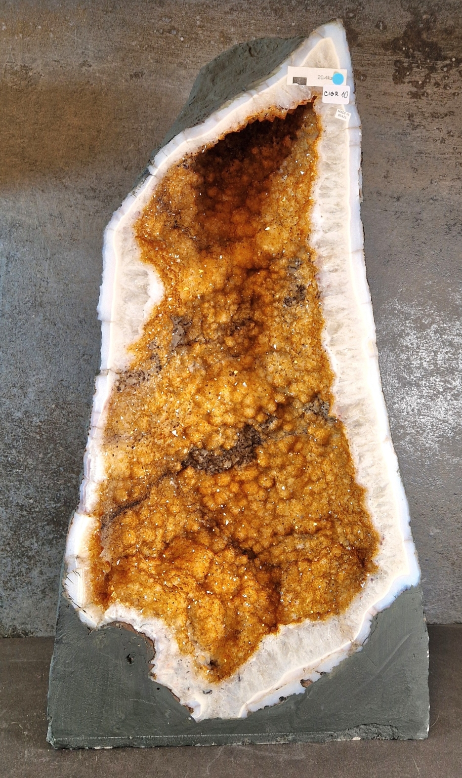Citringrotta - 20,4kg