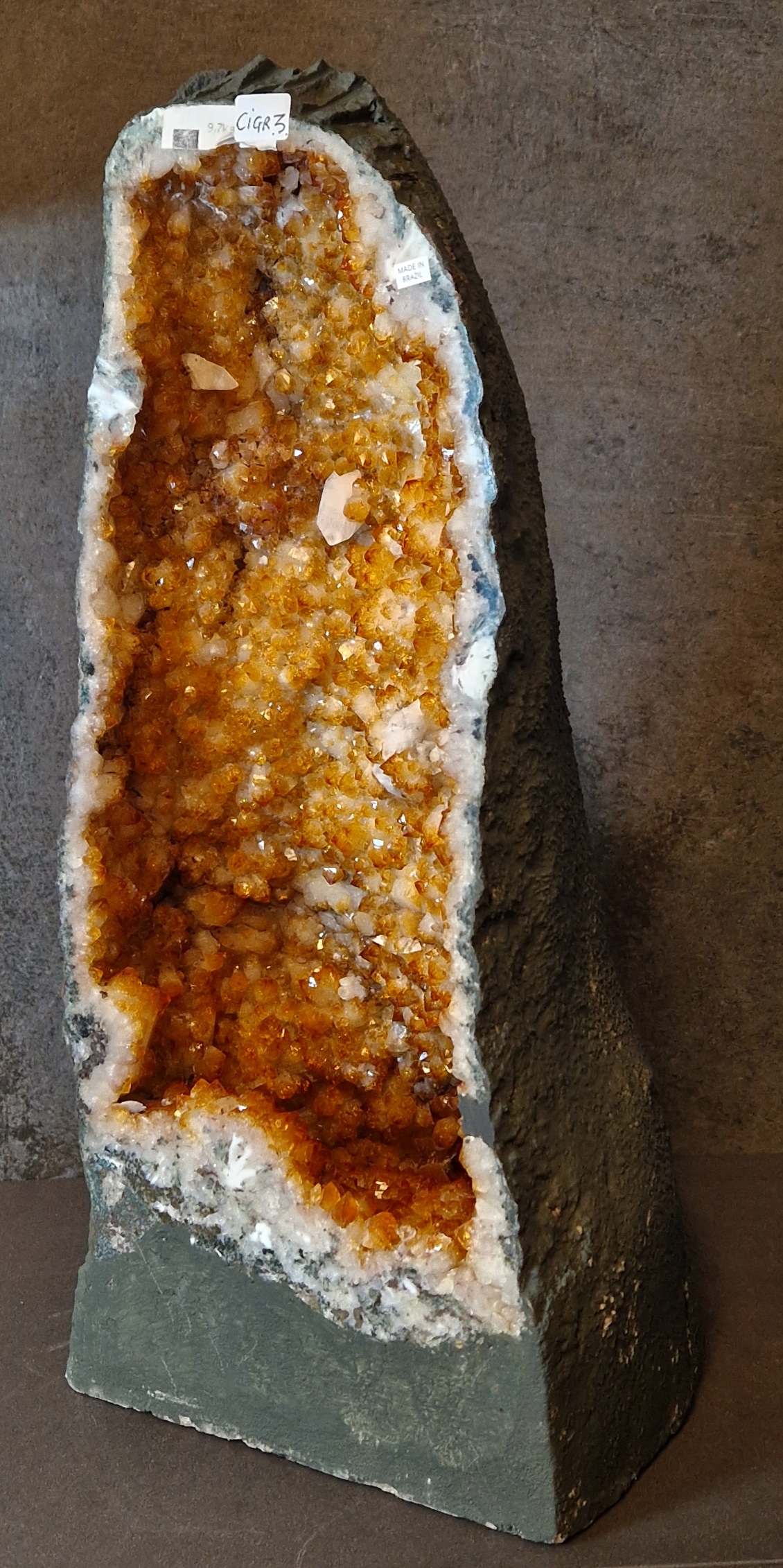 Citringrotta - 9,7kg - 4
