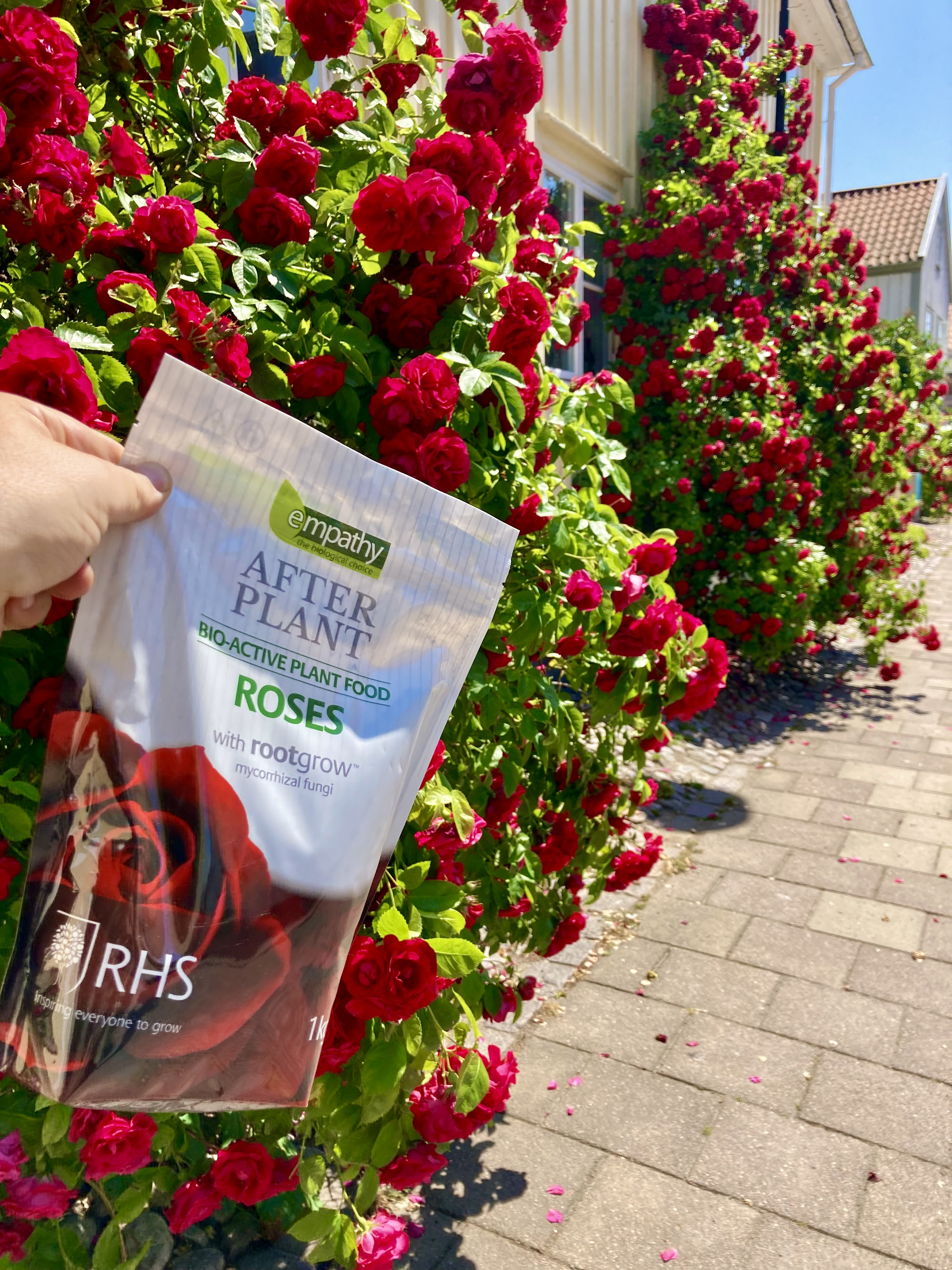 AFTERPLANT Rose Food 1Kg - 2