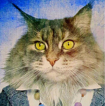 Tavla i trä Katt i kostym shabby chic lantlig stil